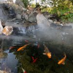 backyard cooling, fish pond